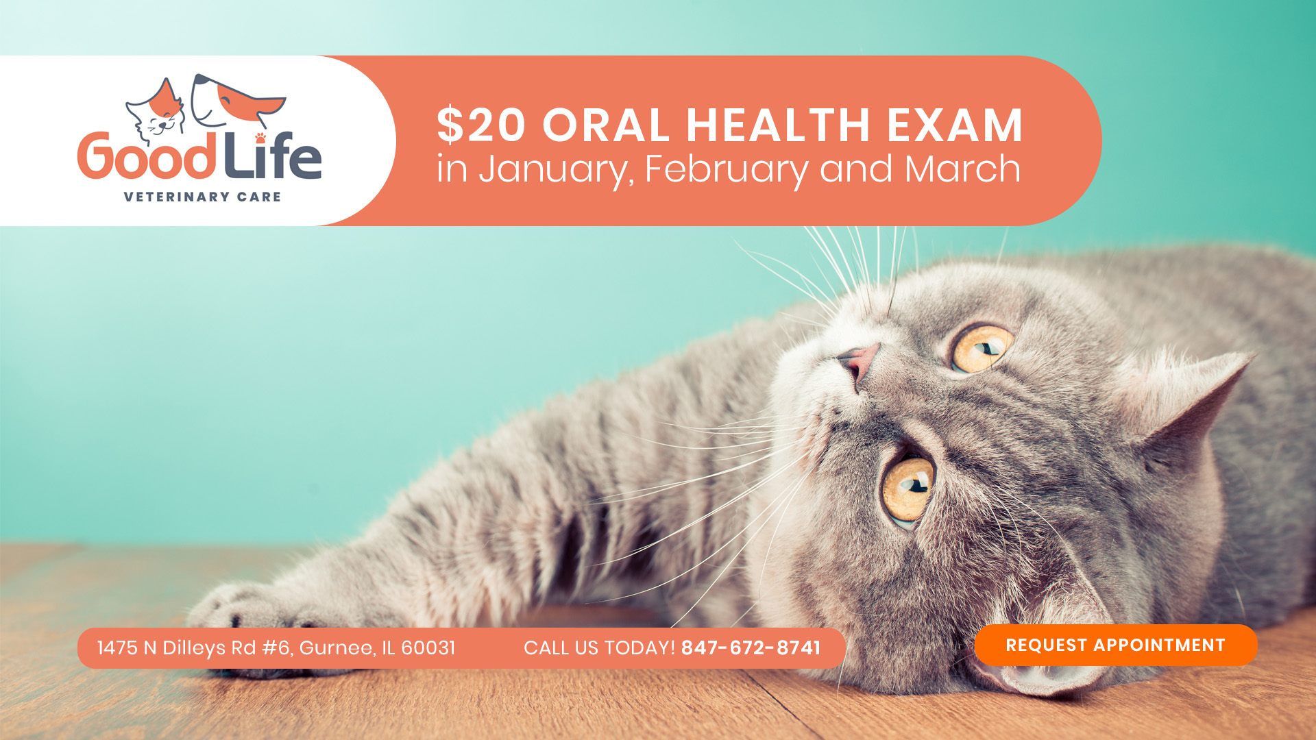 Veterinarian in Gurnee, IL Good Life Veterinary Care