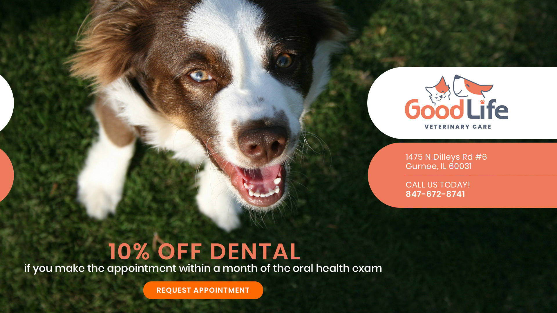 Veterinarian in Gurnee, IL Good Life Veterinary Care